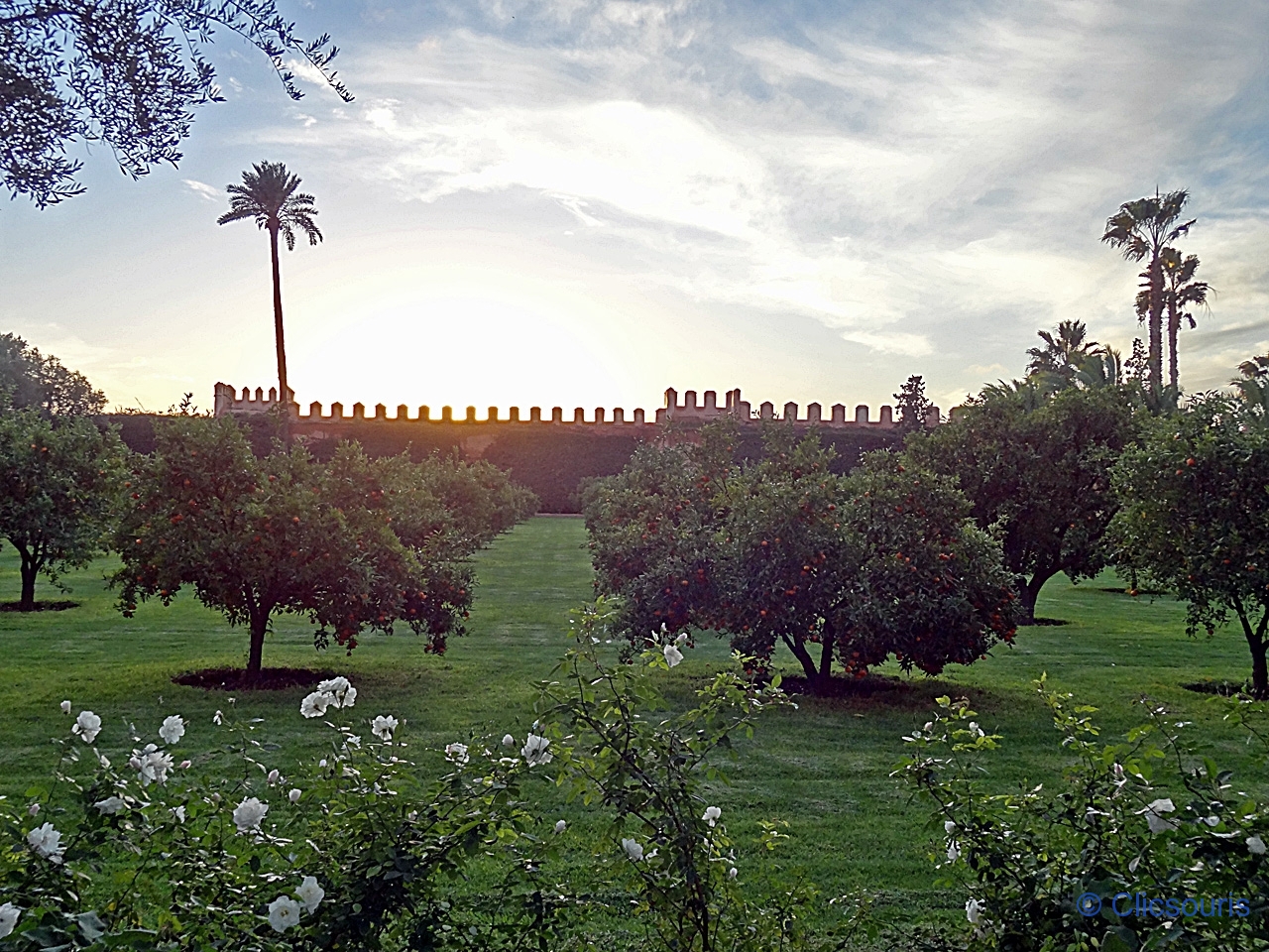 jardin de la Mamounia