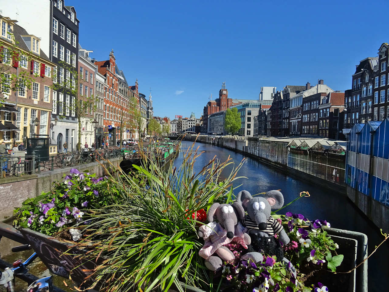 vue sur le Singel et le marché aux fleurs d'Amsterdam