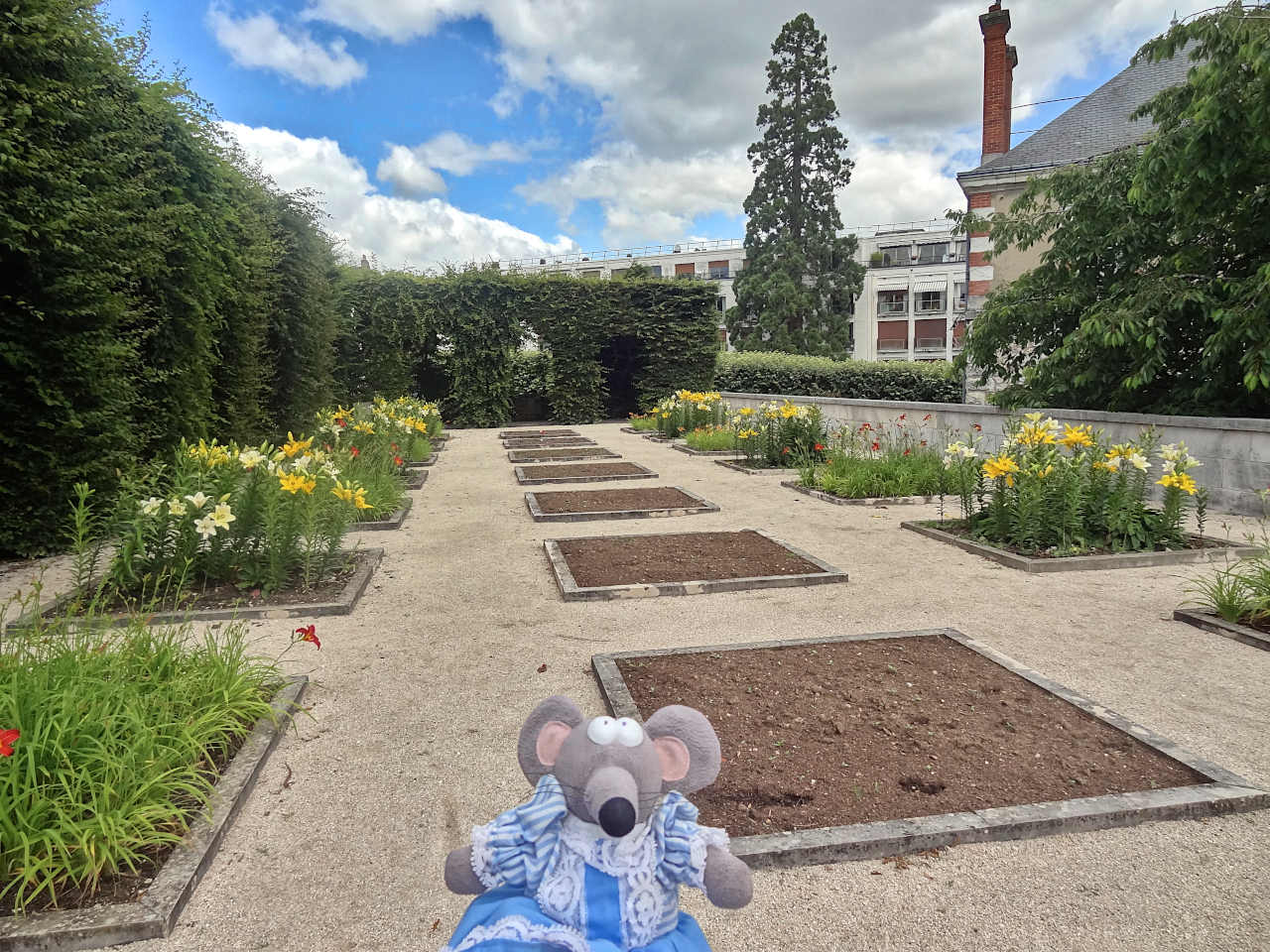 jardin des simples de Blois 