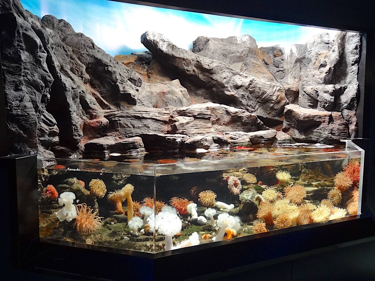 Oceanopolis