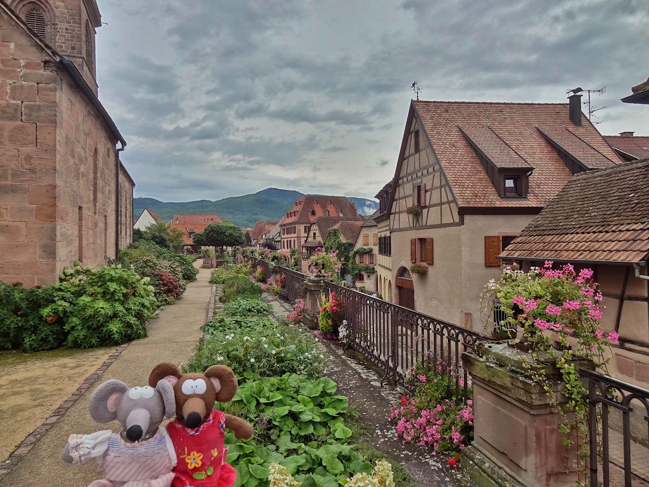 Bergheim