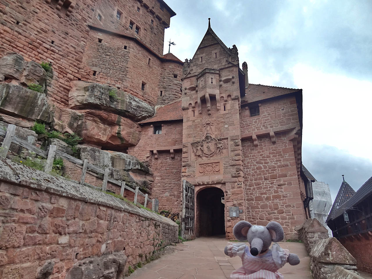 château du Haut-Koenigsbourg 2