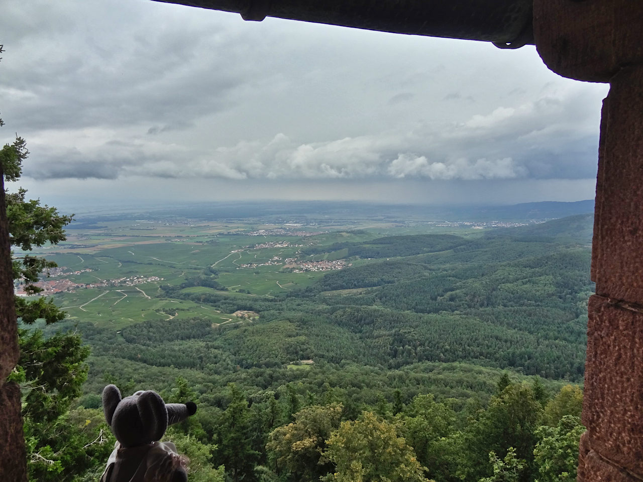 vue depuis le château du Haut-Koenigsbourg