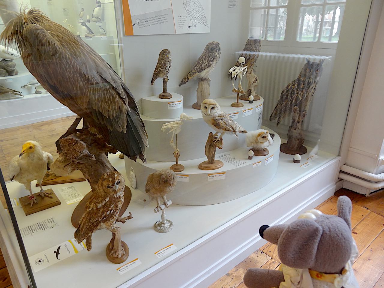 musée Saint Loup de Troyes 2