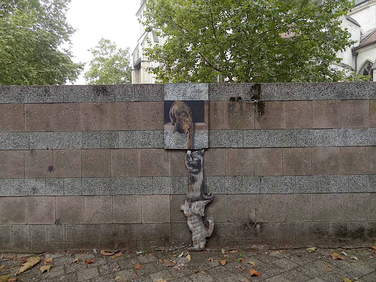 trompe l'oeil chats à Troyes