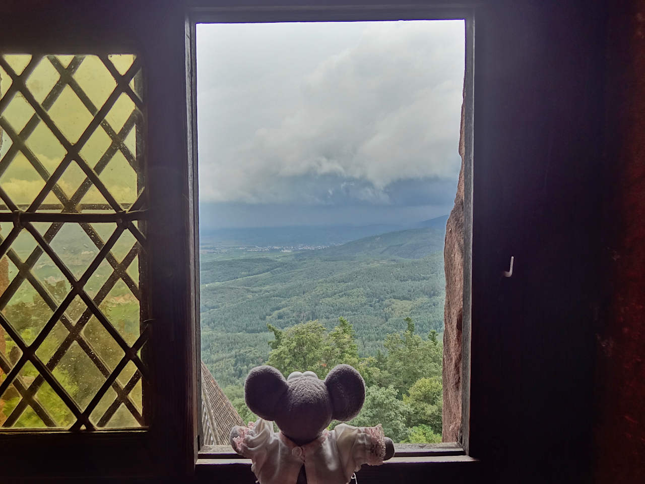 vue depuis le château du Haut-Koenigsbourg