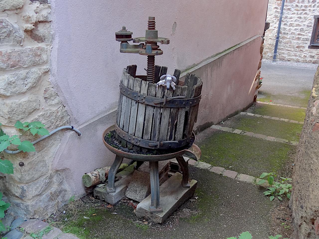 Eguisheim Miranda