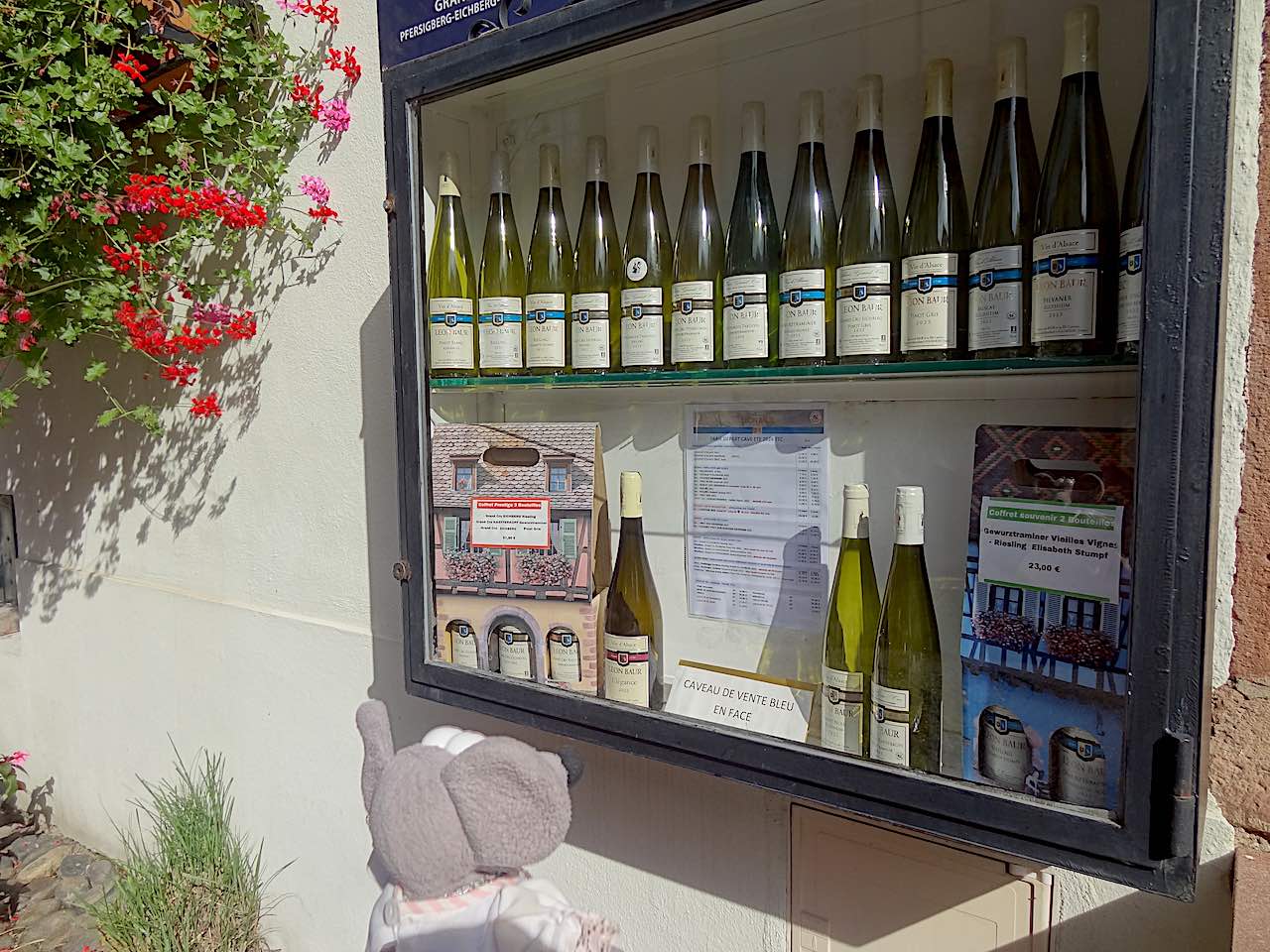 Eguisheim vin