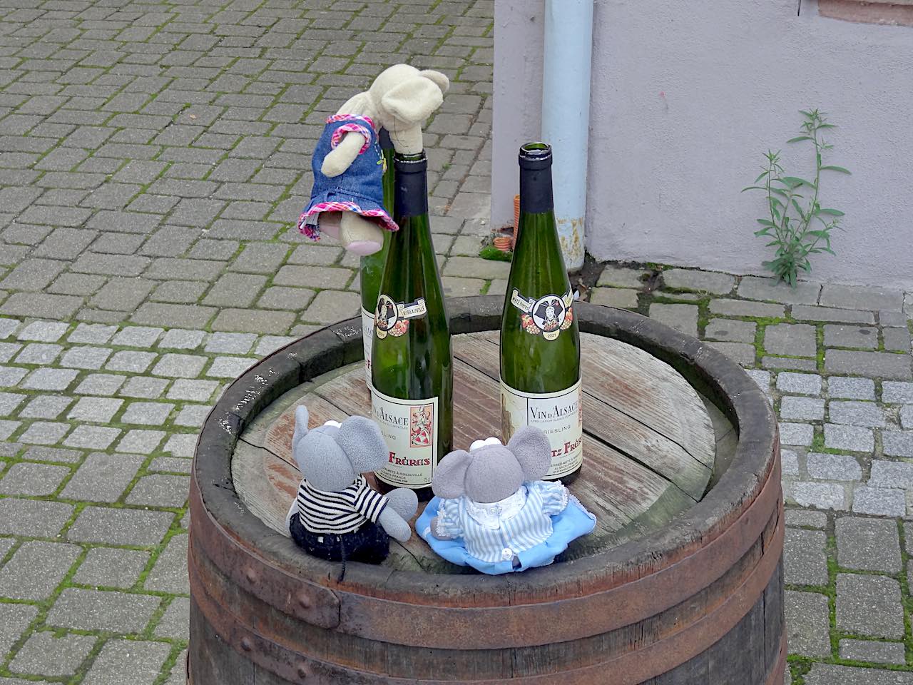 Ribeavillé vin