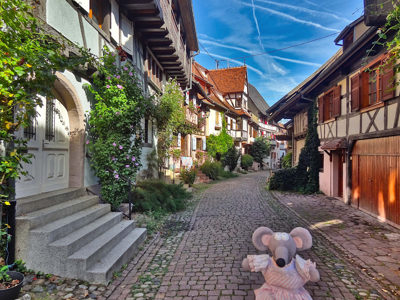 rue d'Eguisheim