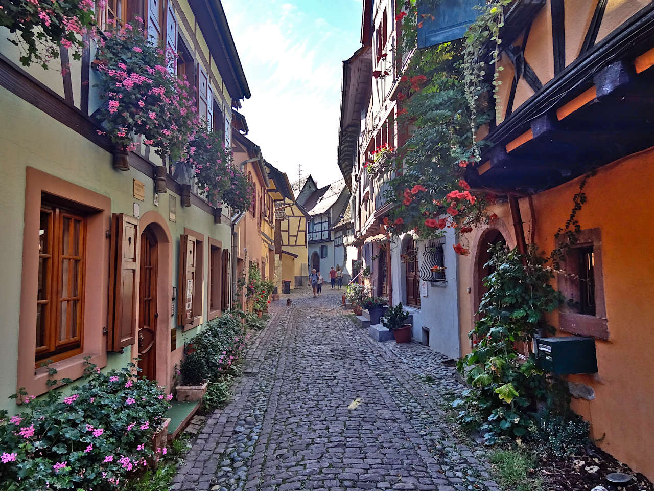 rue fleurie à Eguisheim