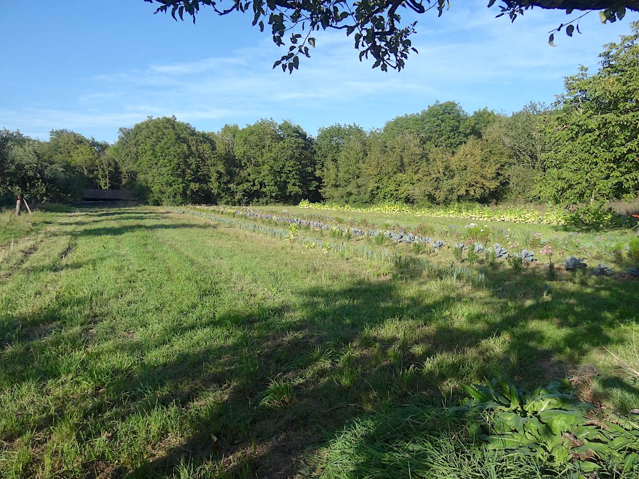 sentier nature de l'écomusée d'Alsace