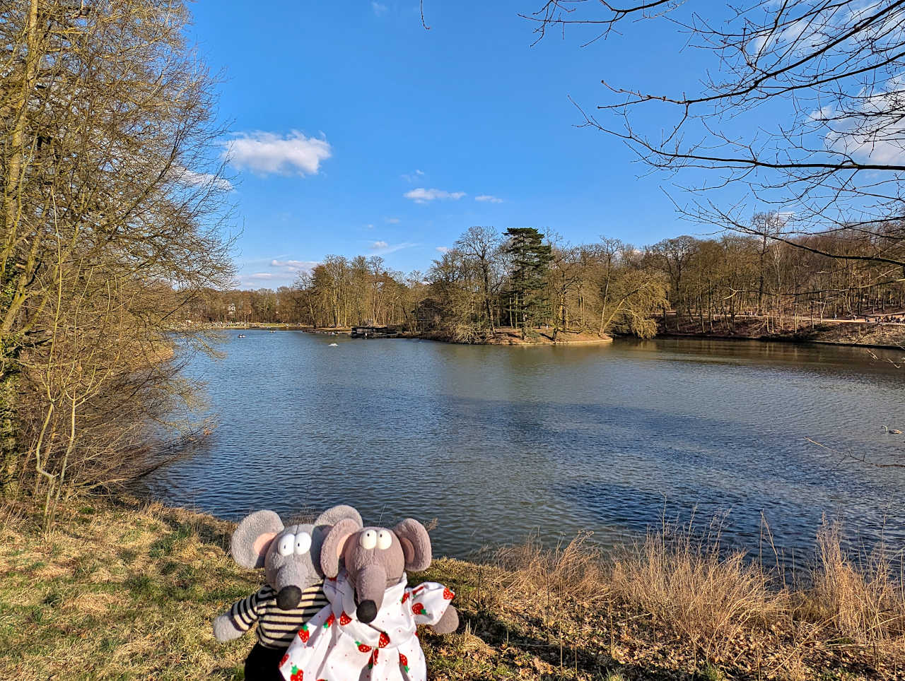 bois de la Cambre