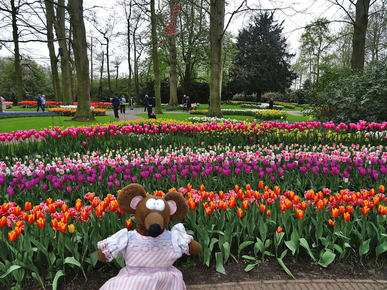 parc de Keukenhof