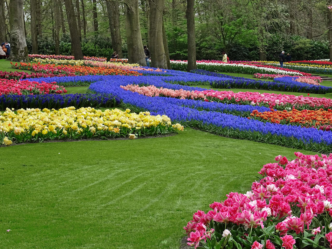 parc de Keukenhof