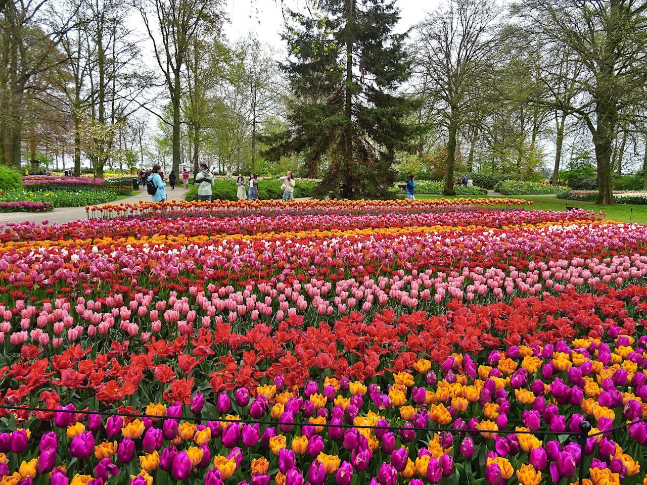 parc de Keukenhof