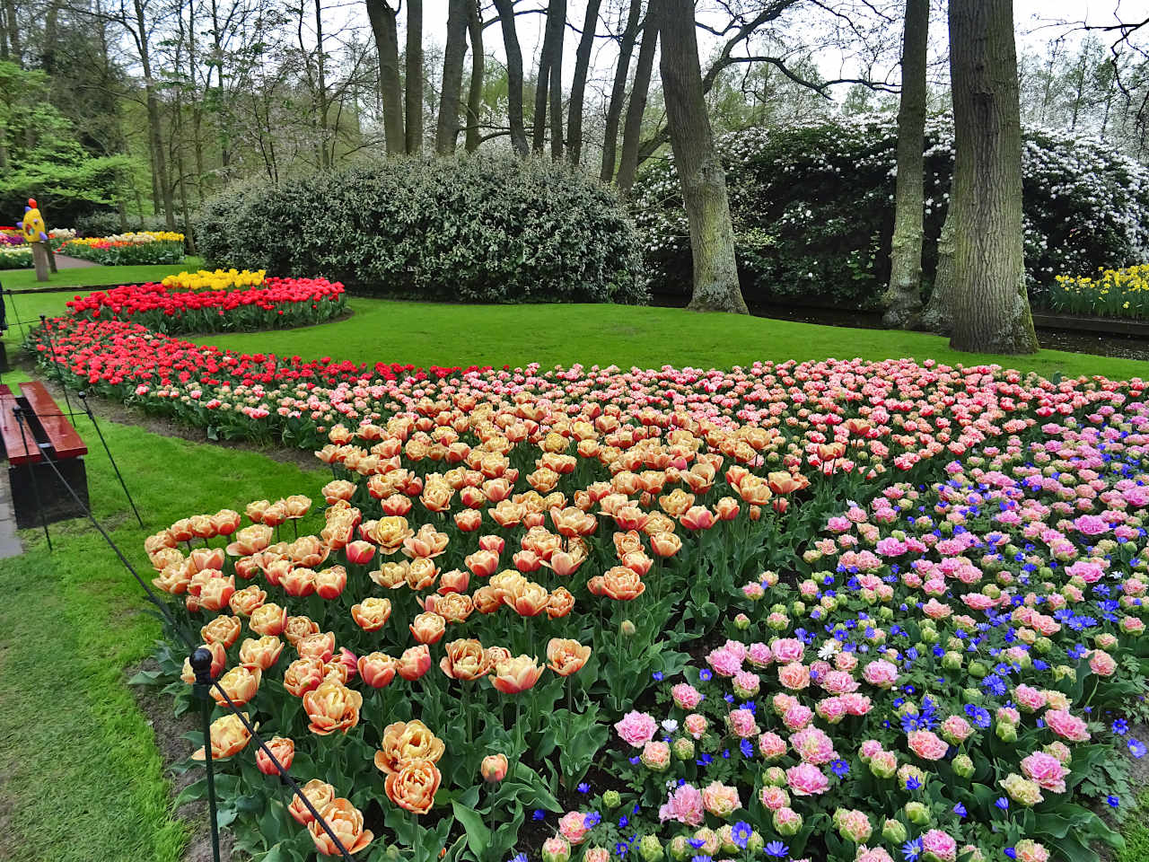 parc de Keukenhof