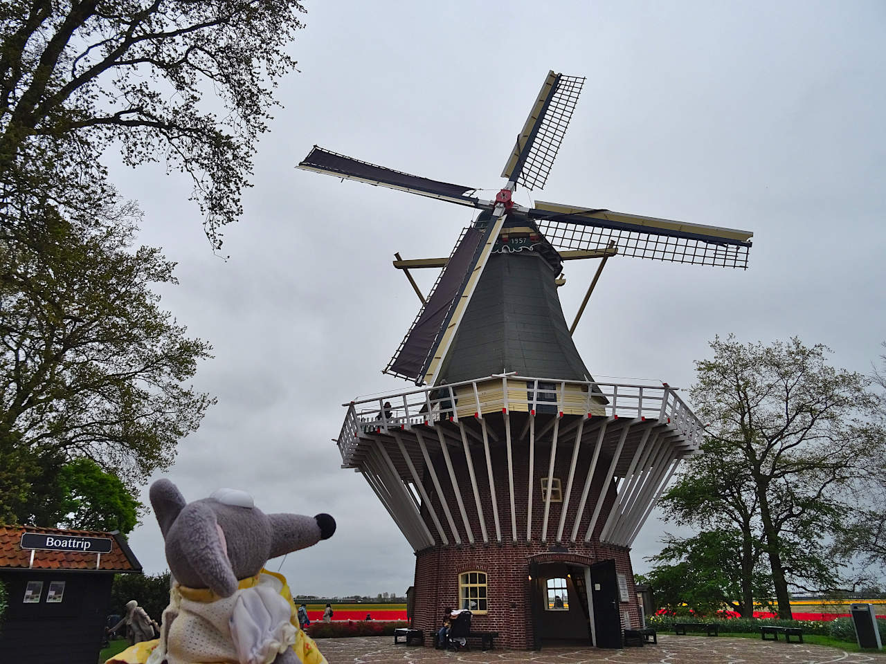 parc de Keukenhof moulin