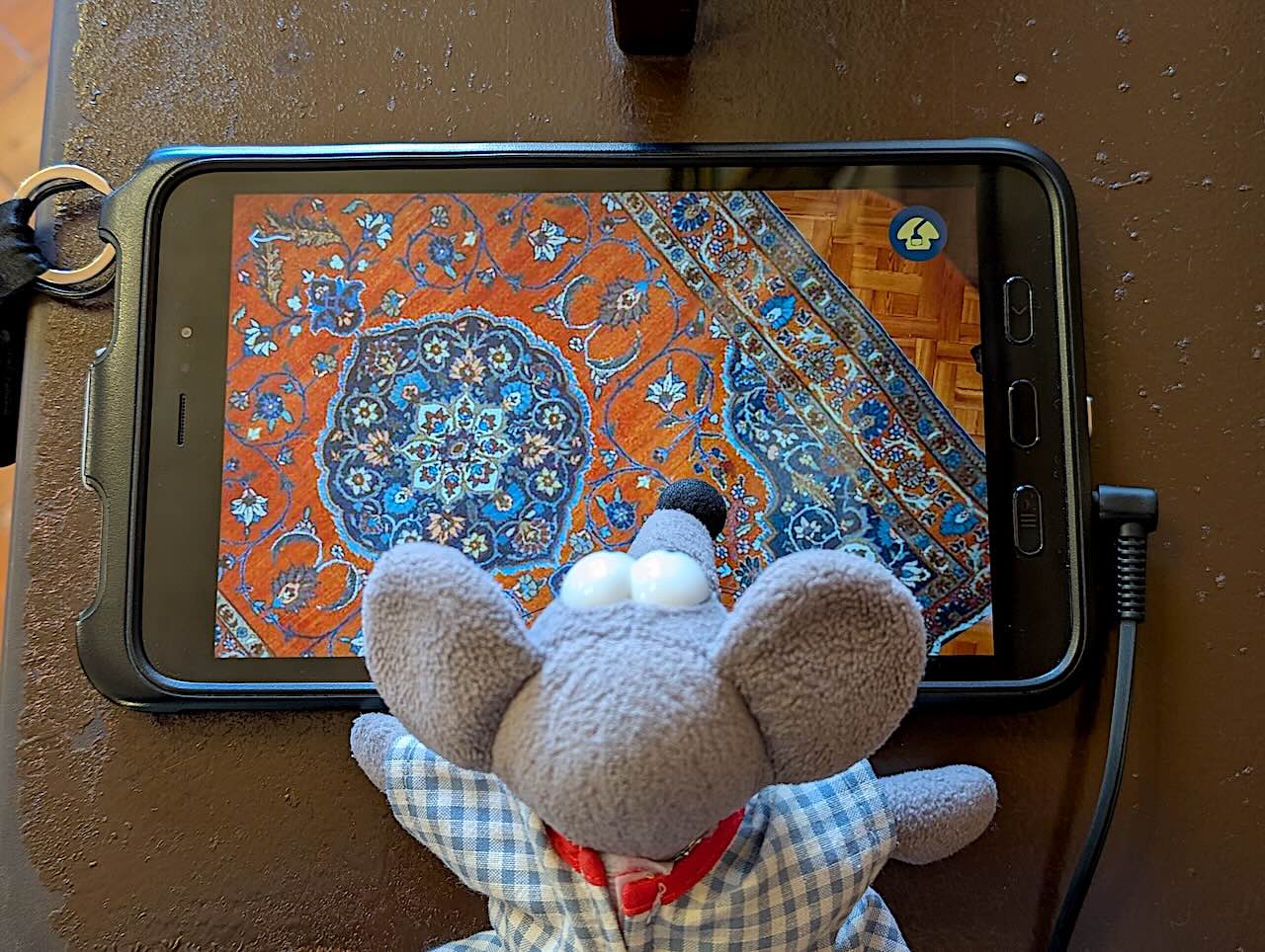 tablette de réalité augmentée de la Casa Batllo