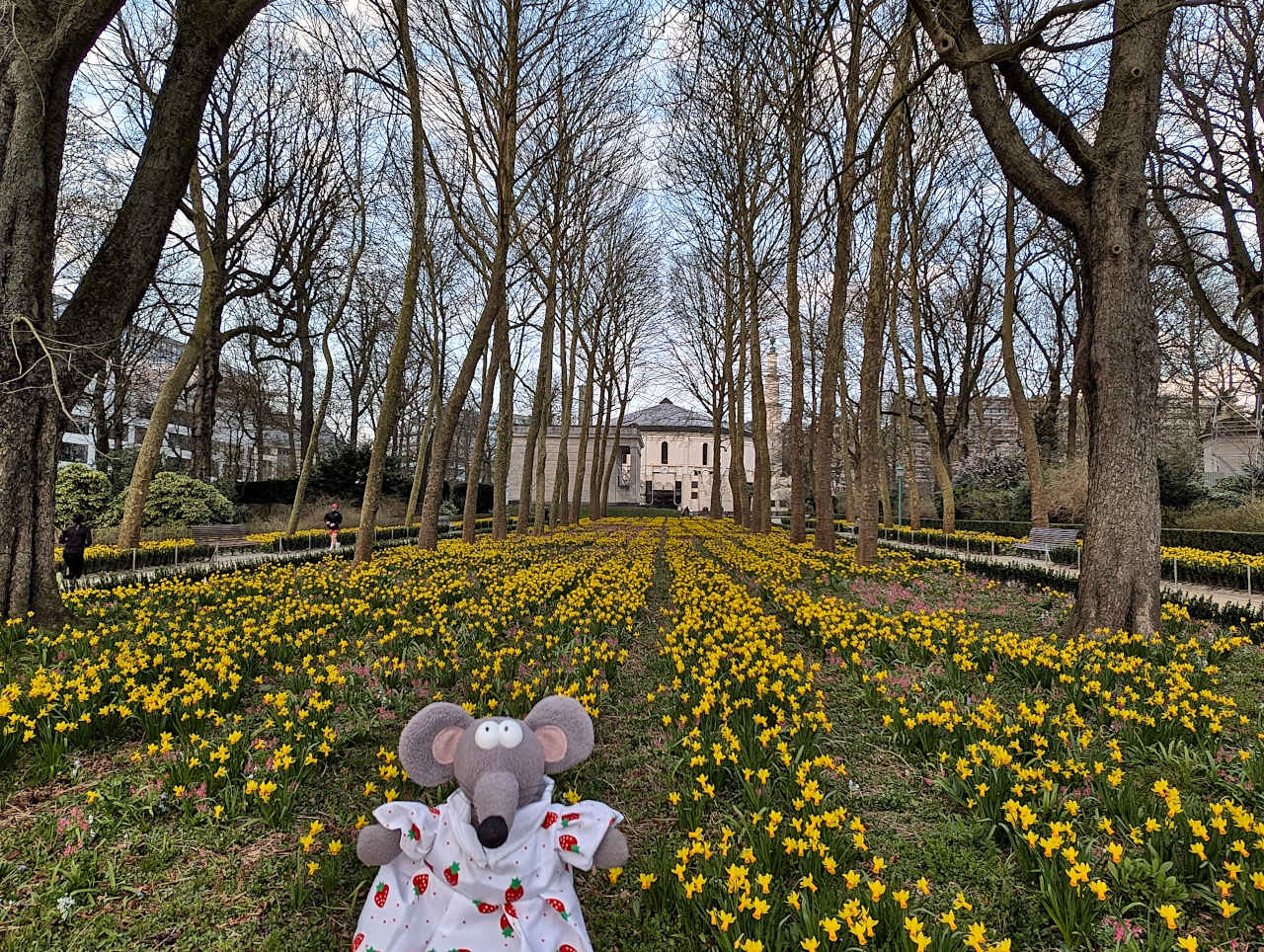 Parc du Cinquantenaire