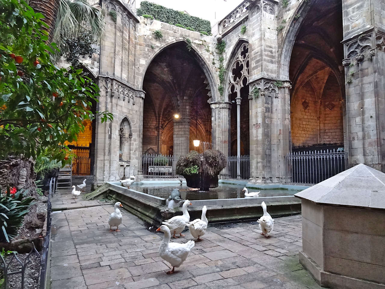 cloitre de la cathédrale de Barcelone