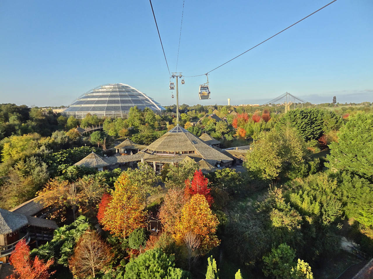 couleurs d'automne au zoo de Beauval