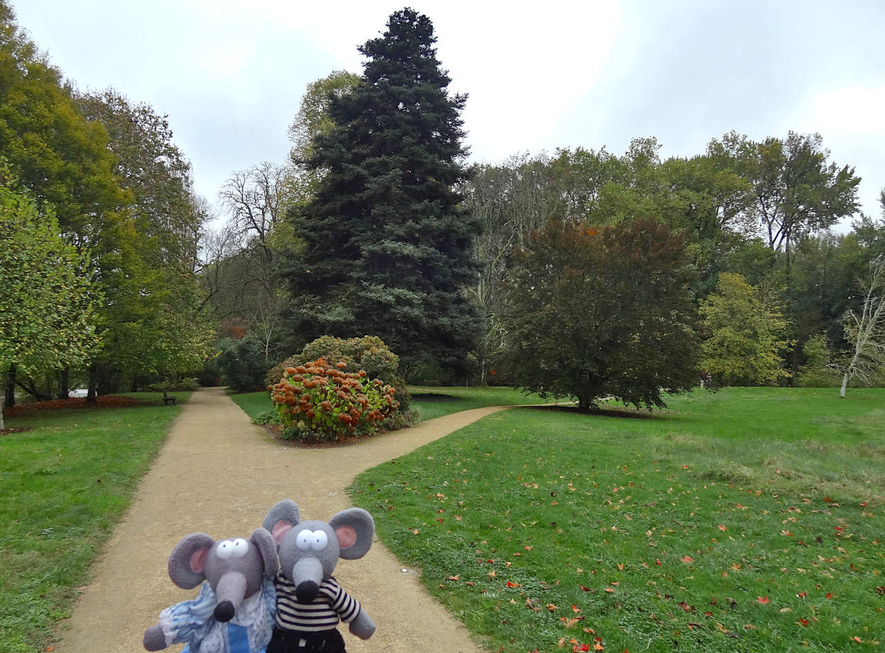 jardin d'Azay-le-rideau