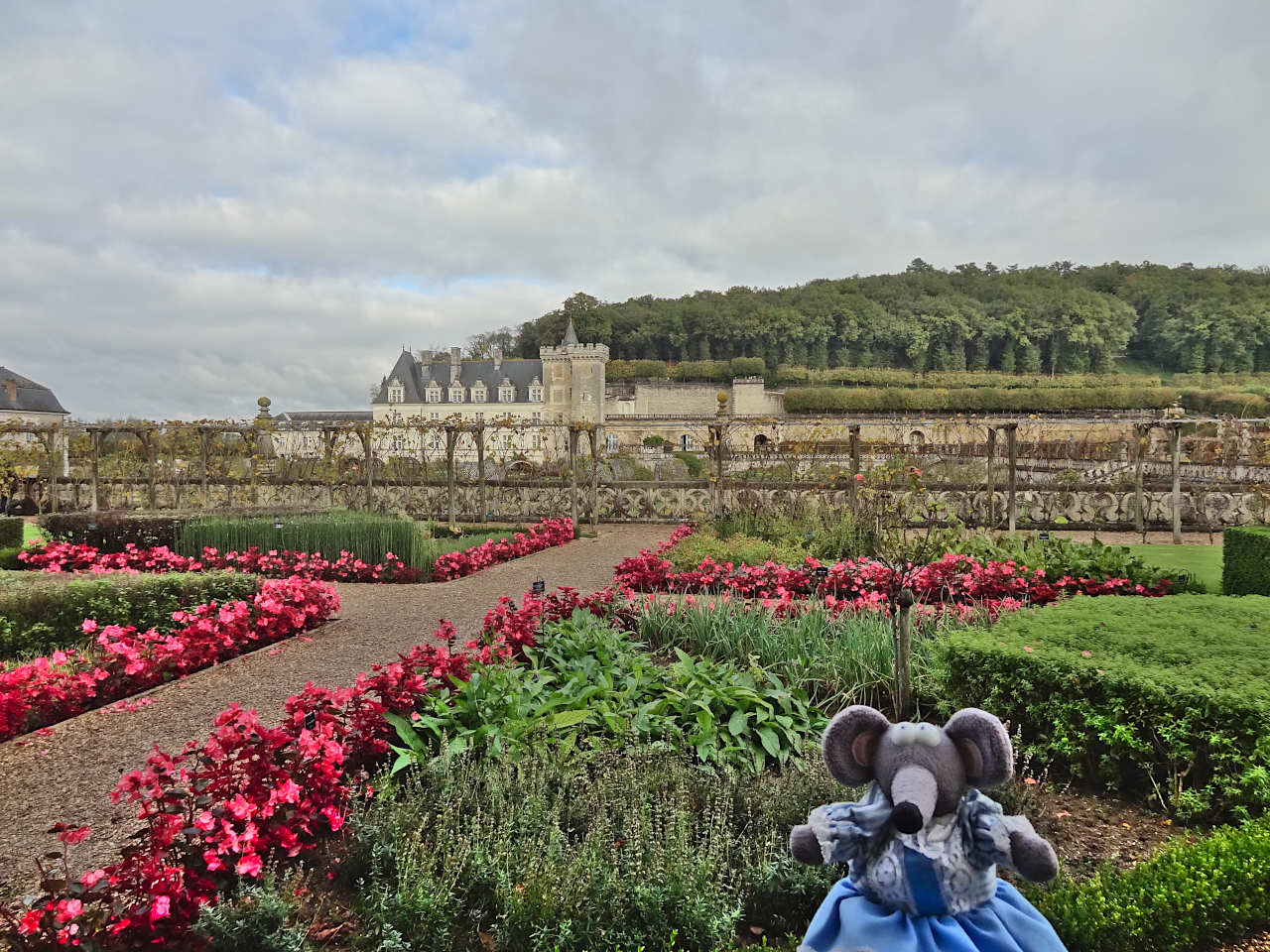 jardin de Villandry