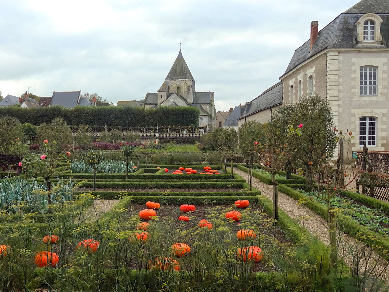 jardins du château de Villandry 
