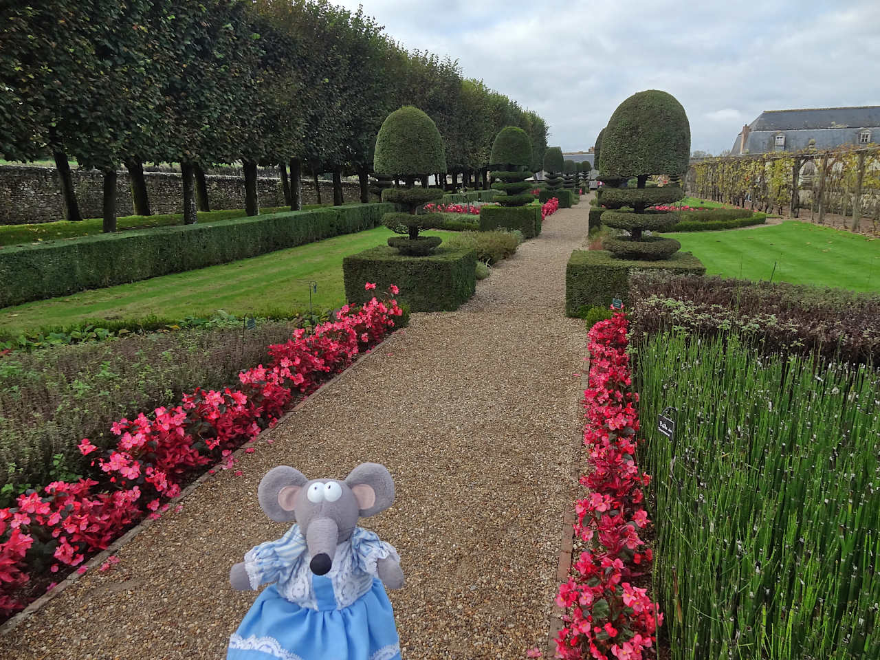 jardins du château de Villandry 6