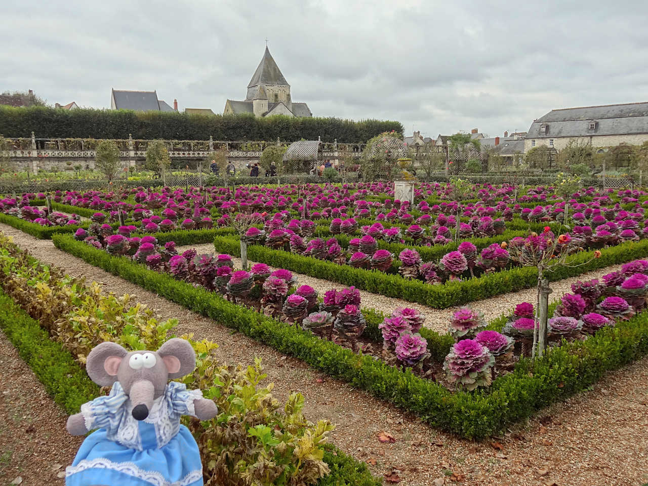 jardins du château de Villandry 7