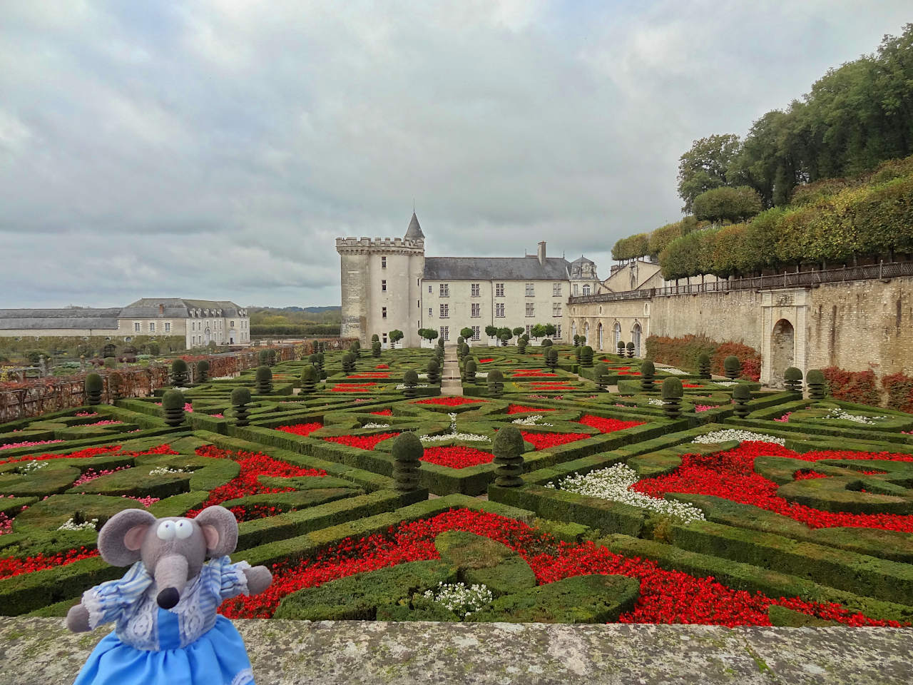 jardins du château de Villandry 9