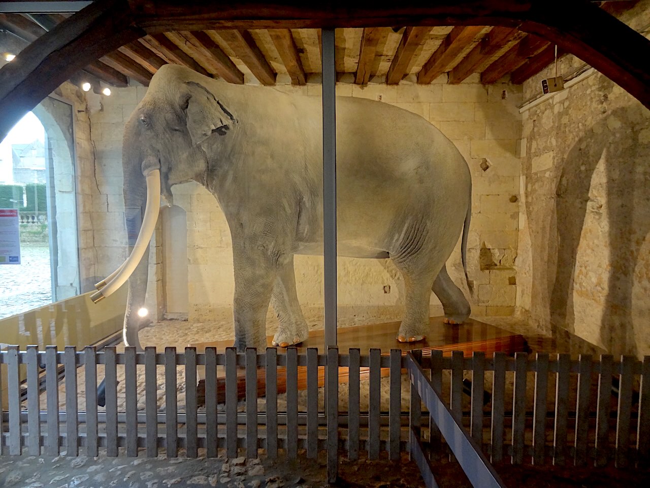 Fritz l'éléphant à Tours