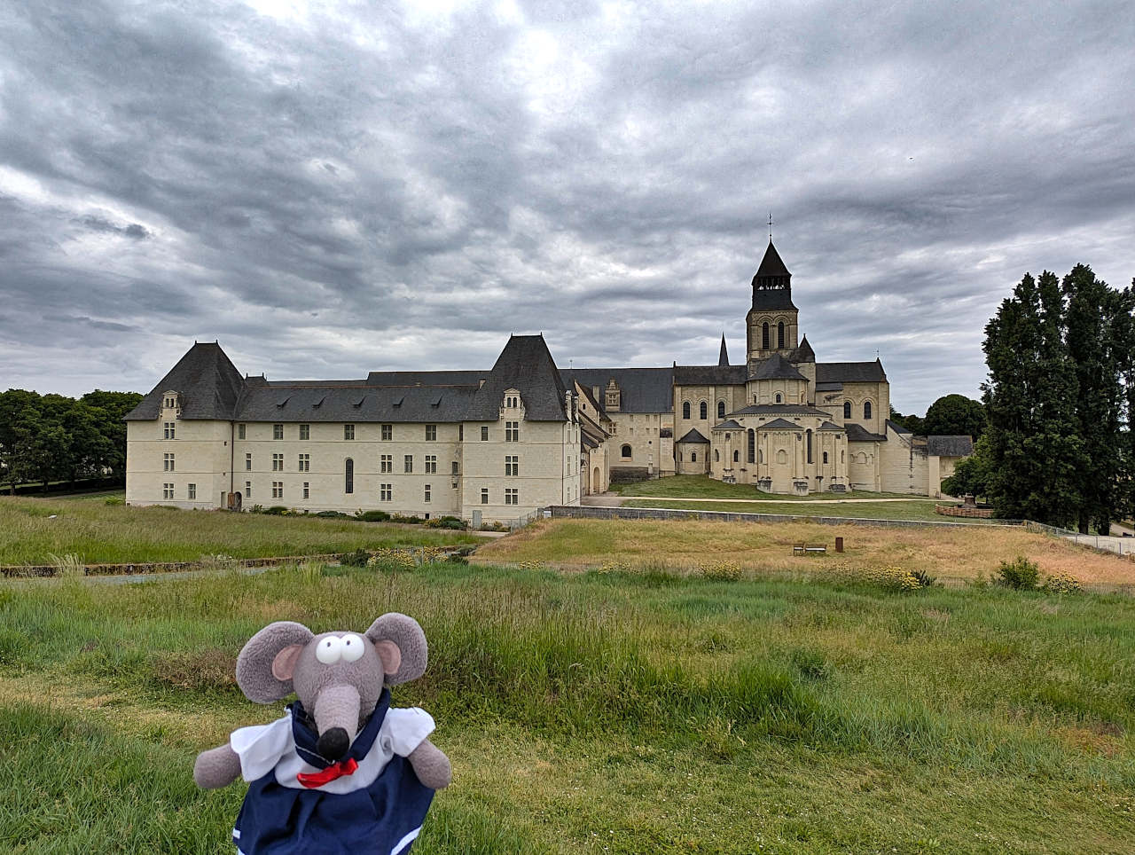 Abbaye de Fontevraud