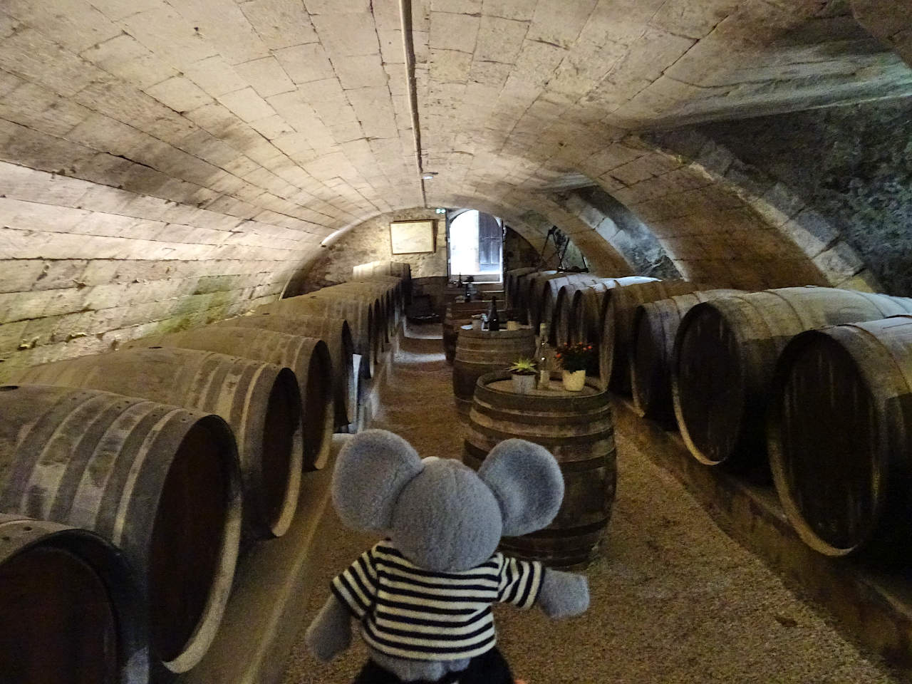 Caves du château de Chenonceau