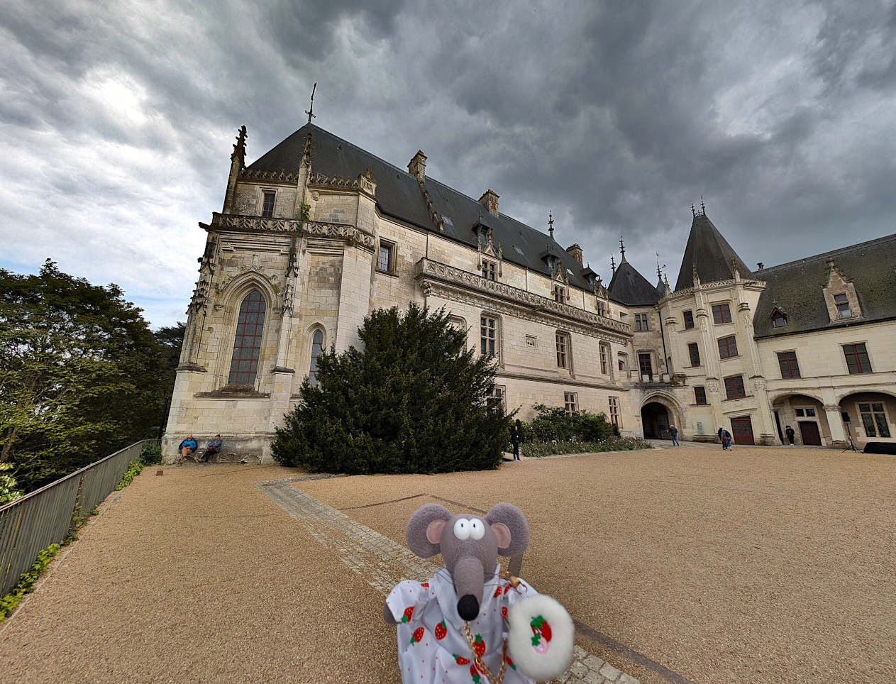 Chaumont-sur-Loire cour
