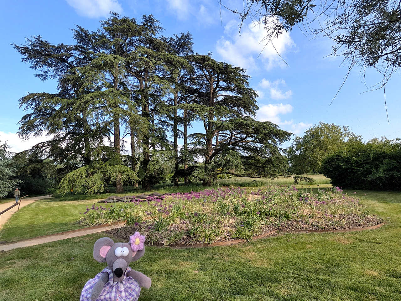Chaumont-sur-Loire parc