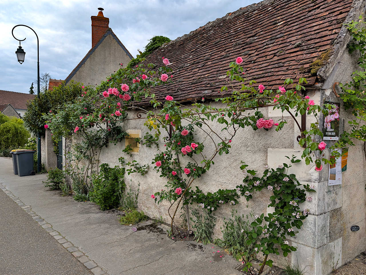 Chédigny en mai pendant la saison des roses