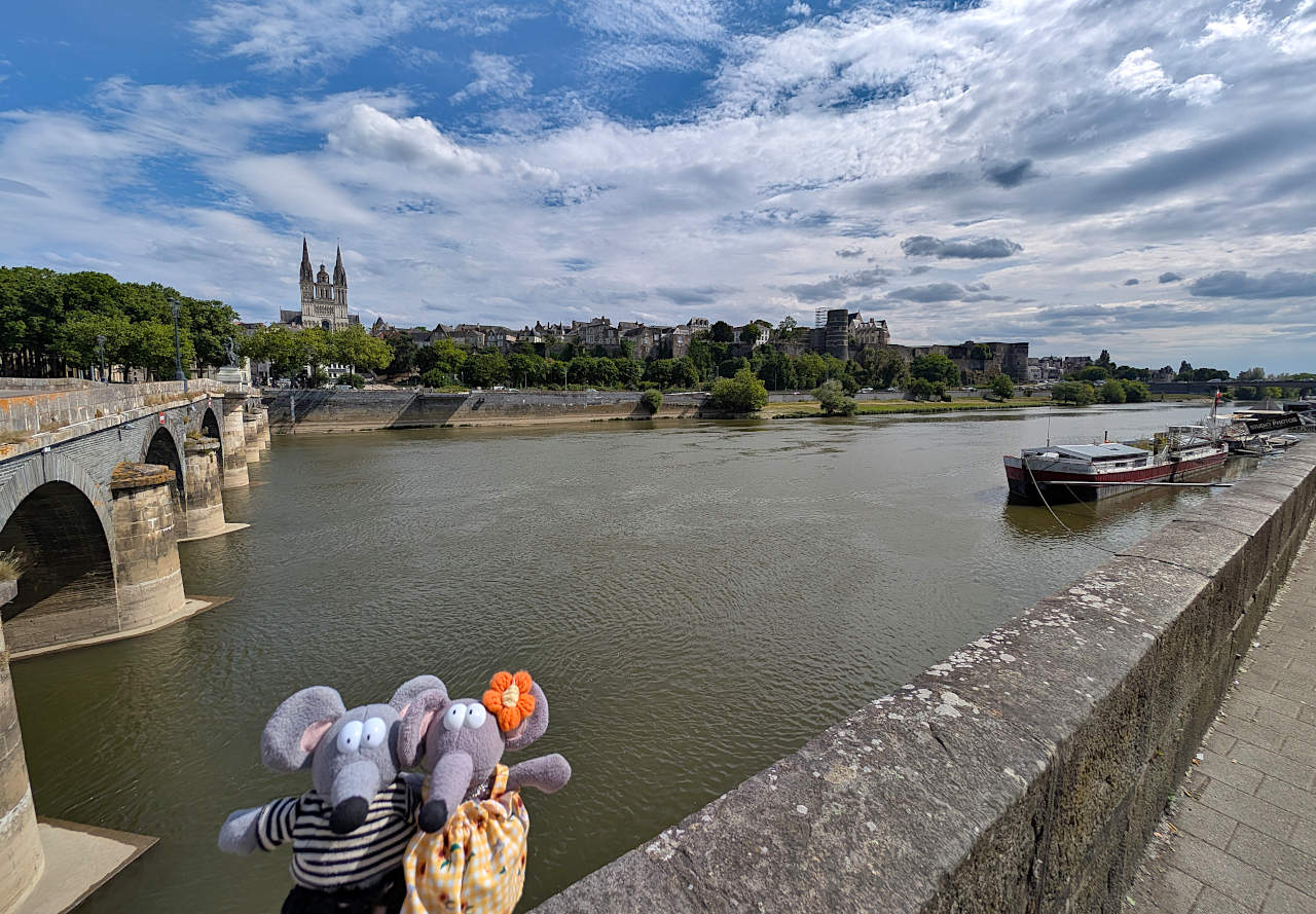 La Maine Angers