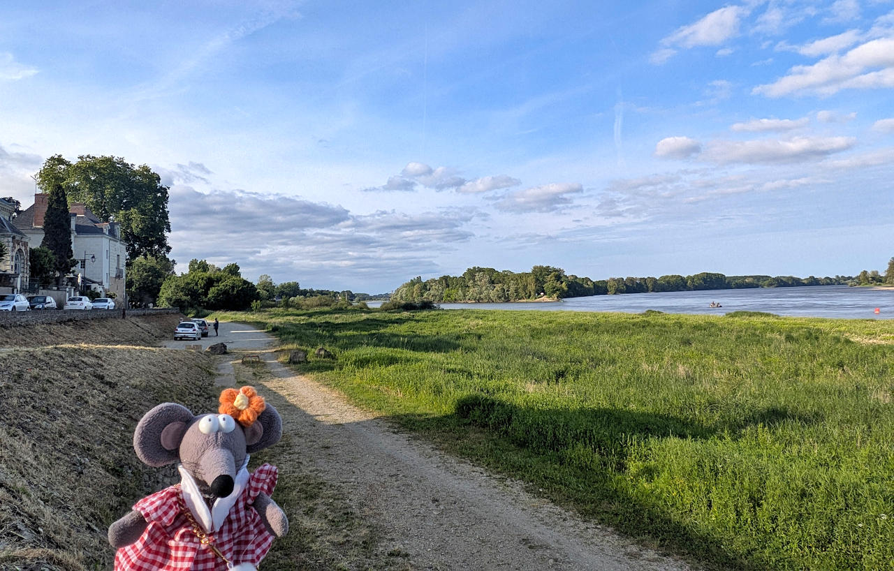 Pointe de Bouchemaine