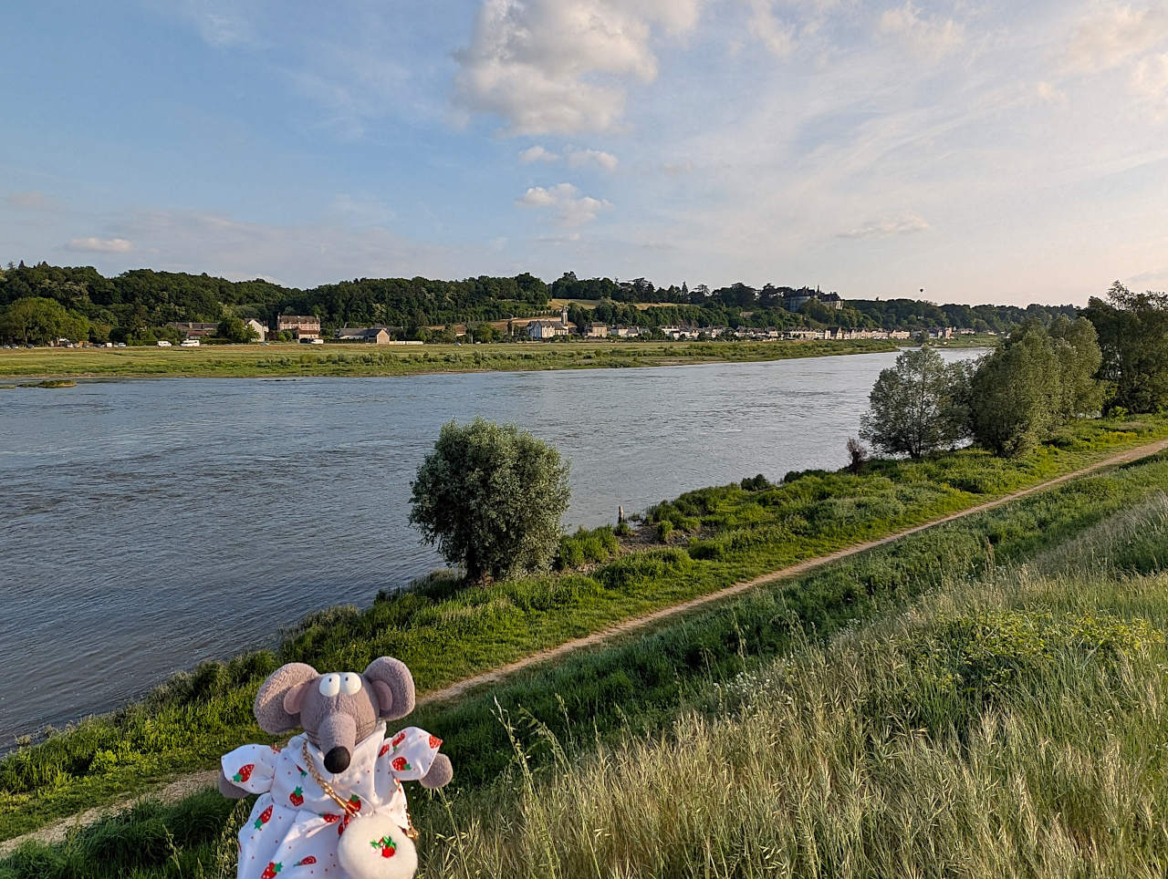 bords de Loire