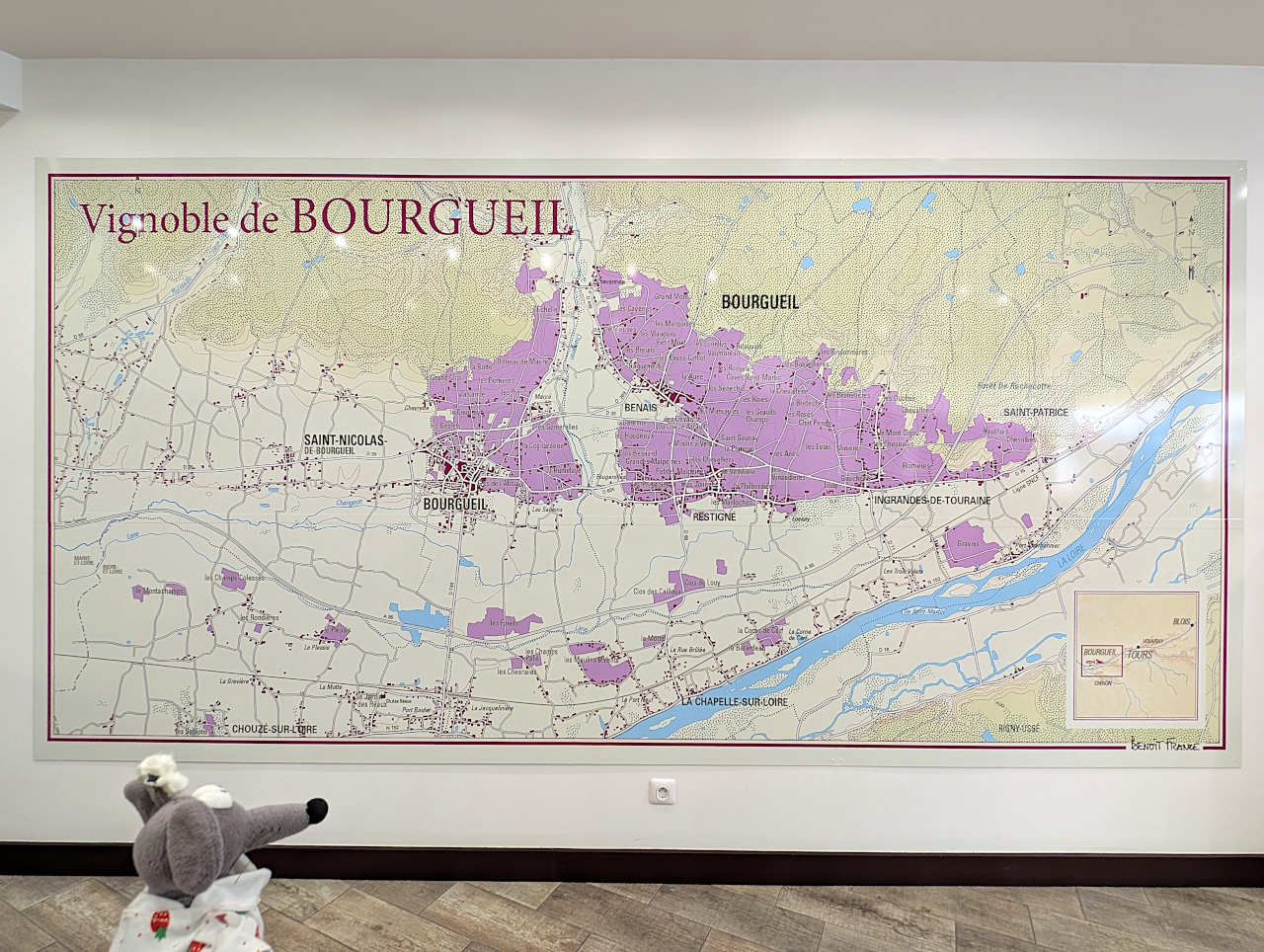 carte vignoble de Bourgeuil