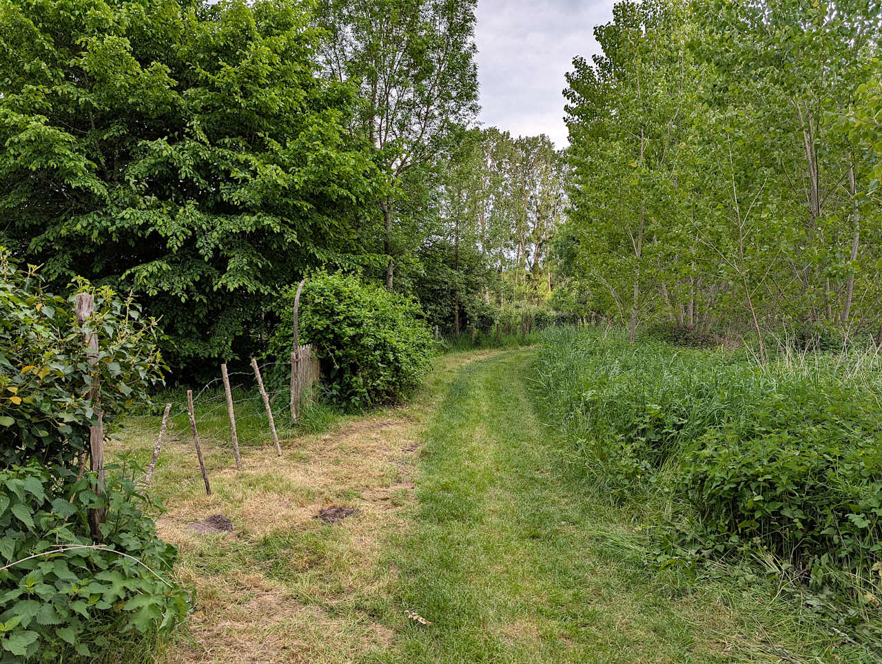 marais de Chédigny