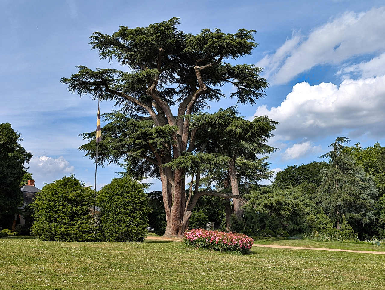 parc du château de Brissac 2