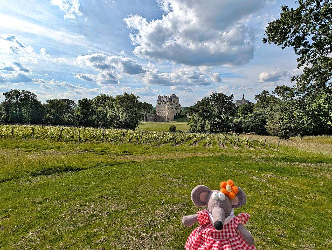 parc du château de Brissac