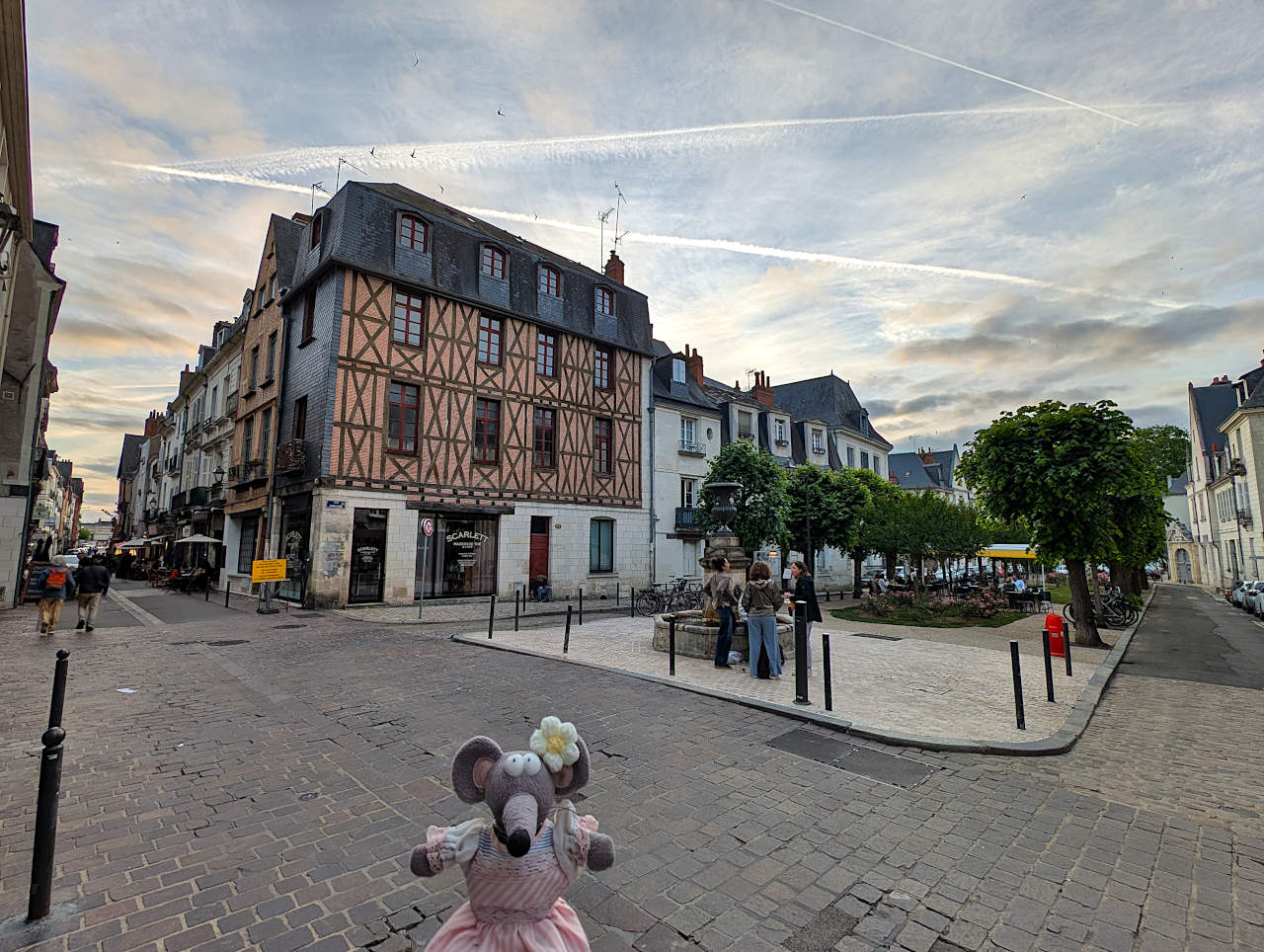 place Foire-Le-Roi Tours