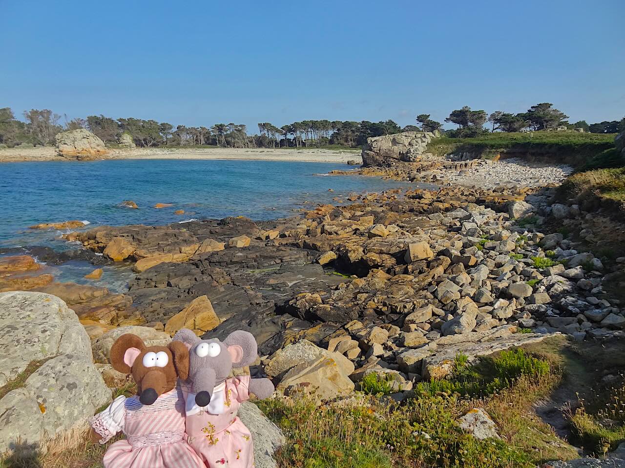 pointe du chateau Plougrescant