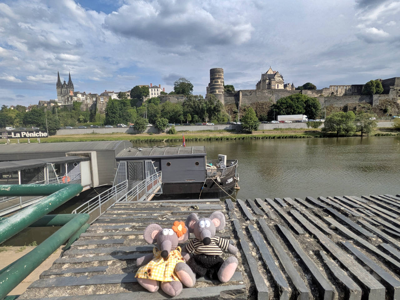 vue sur la vieille ville d'Angers