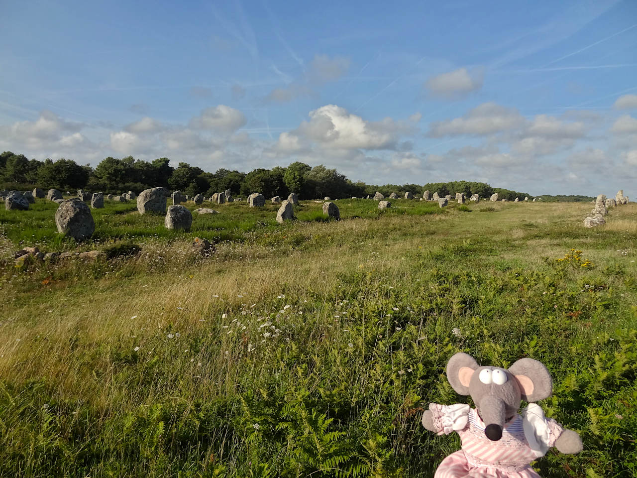 Carnac