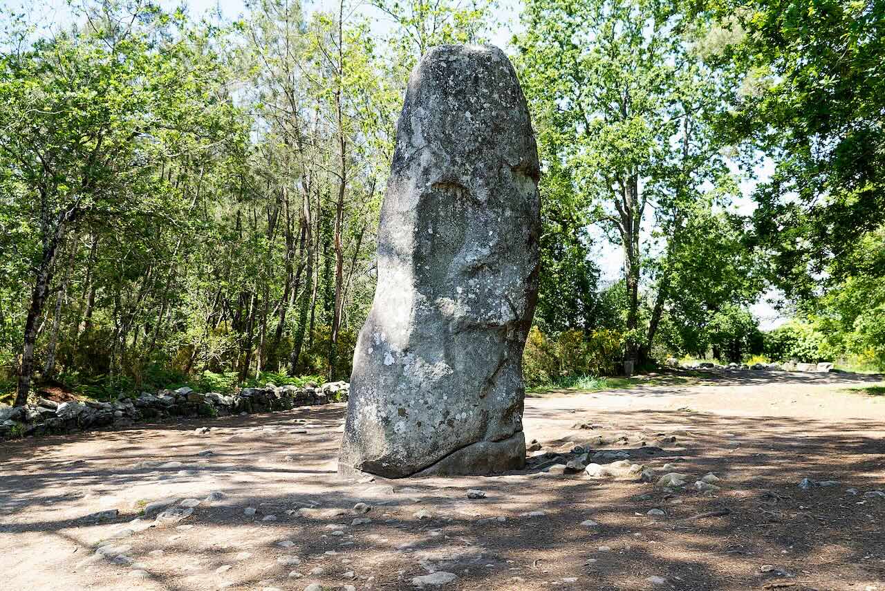 Le Géant du Manio 